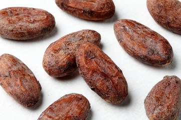 COCOA BEANS