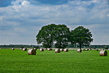 Heuballen auf Wiese © It's me