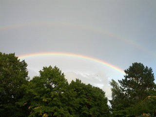 Double rainbow over trees