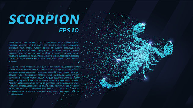 A Scorpion of blue glowing dots. Scorpio of the particles. Vector illustration.
