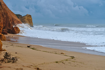 Albufeira beach cliffs. Algarve, Portugal