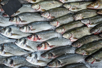 Fresh fish in ice on showcase in supermarket