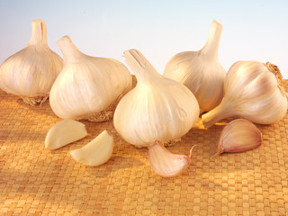 GARLIC