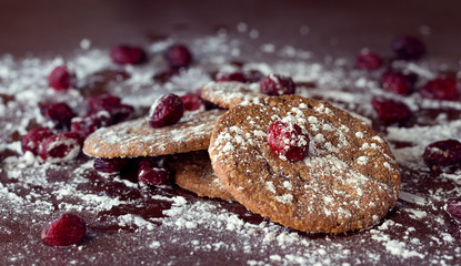 GALLETA Y ARÁNDANOS CON AZÚCAR GLASS