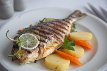 fresh fish with vegetables