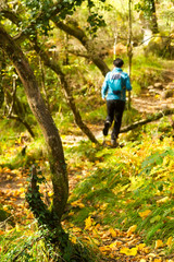 woman unfocused in trekking hiking  with backpacks in autumn forest