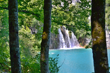 The lake with luminous azure-colored water and waterfalls. Green forest around. Plitvice Lakes, Croatia.