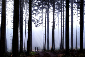 Spaziergänger im Wald