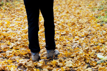 woman in trekking hiking in autumn forest