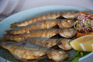 fresh fish on a plate