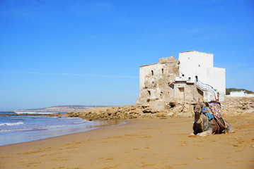 Sidi Kaouki, Essaouirra, Morocco, camel tour, surfing, Africe, travel destination