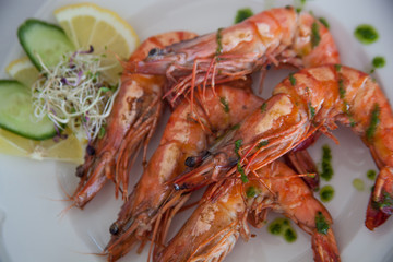 fresh shrimps on a plate