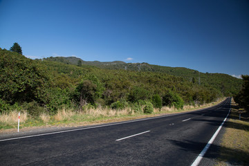 Strasse durch den Wald