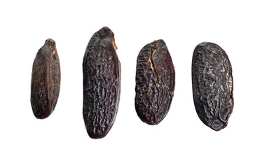Bean of Dipteryx odorata, cumaru or kumaru. Its seeds are known as tonka beans, sometimes tonkin...