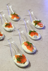 Verrines appetizer trimmed with salmon fish on a cream of cucumber with chive on a white background 