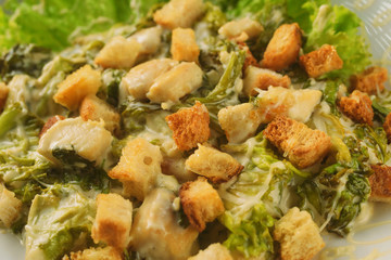 Caesar salad with crackers, chicken fillet, white sauce and seasonings