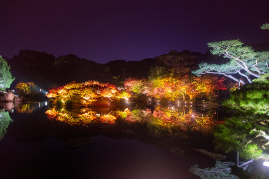 栗林公園紅葉ライトアップ