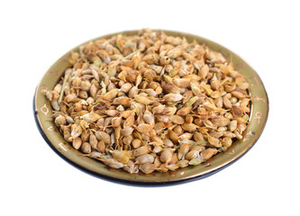 Trigonella caerulea or blue fenugreek. Seed isolated on white background.