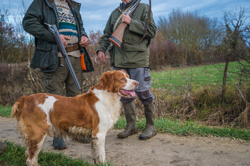 Hunting season concept: two hunters and beautiful hunting's dog on the sunny autumn day