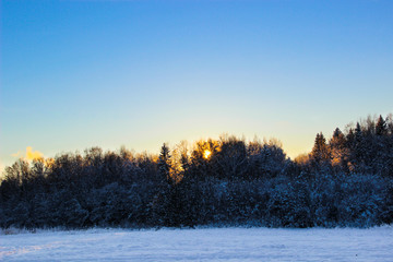 Nature, landscape, Christmas concept - beautiful winter landscape with snow-covered trees under sunlight at sunset against the snow plain. Snowy trees, sunny winter day. Winter background.