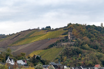 Fototapeta na wymiar vineyard and castles in Germany