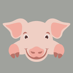  cartoon face pig ,vector illustration, flat