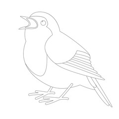 robin bird , vector illustration  ,lining