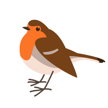  robin bird , vector illustration ,flat
