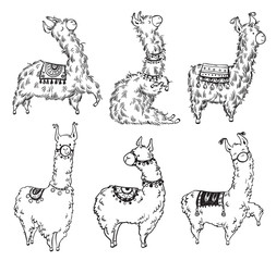 Set of six pretty hand drawn lamas, vector illustration © kamenuka