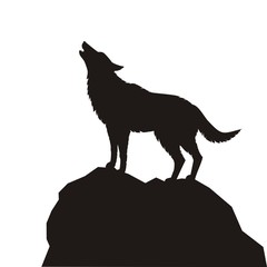 Obraz premium Sylwetka wilka