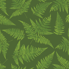Fern leaf pattern drawing. Foliar forest background green background for textile, fabric, wallpapers, covers, print, decoupage, gift wrap. Forest pacifying ornament. Seamless pattern