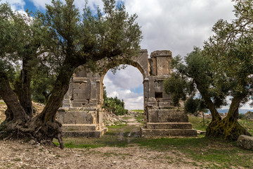 Fototapeta na wymiar Roman ruins