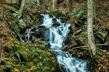 Mountain stream cascades over downstream rocks, Vermont, USA.