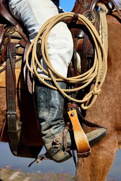 Cowboy on horse