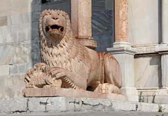 leone stiloforo; protiro del portale maggiore della Cattedrale di San Ciriaco, Ancona