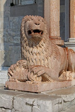 leone stiloforo; protiro del portale maggiore della Cattedrale di San Ciriaco, Ancona