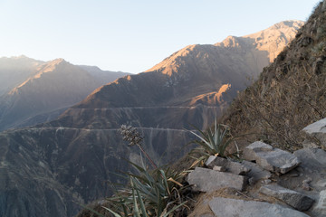Peru Colca Canyon Sunset