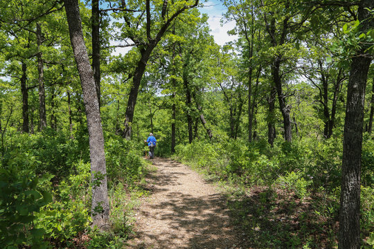 Woman Walking on Path in Forest
