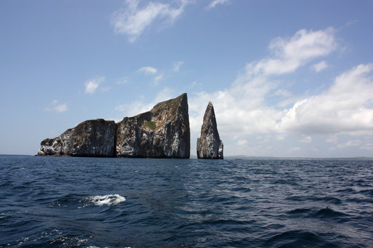 León Dormido luogo per le immersioni e l'avvistamento degli squali alle Galapagos