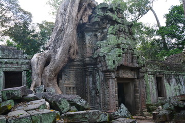 Fototapeta na wymiar Temples Angkor Cambodge - Cambodia