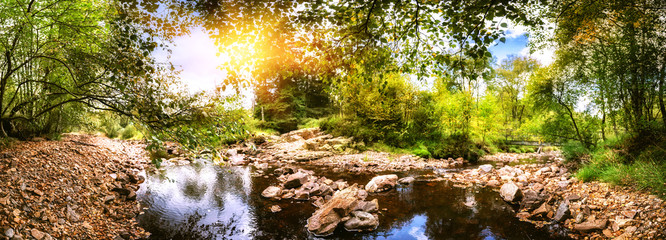 Panoramic summer landscape with forest stream