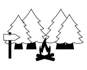 camping summer concept