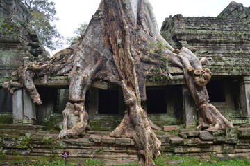 Temples Angkor Cambodge - Cambodia