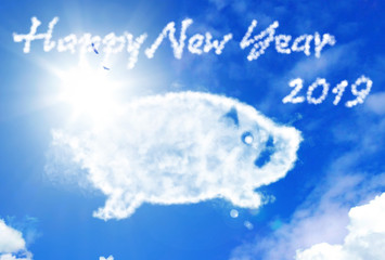 2019 亥 年賀はがき 
