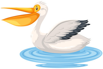 Obraz premium A pelican character in water