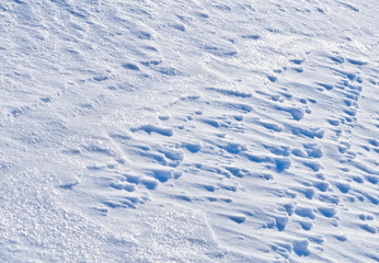 Texture of sparkling snow with wind ripples.