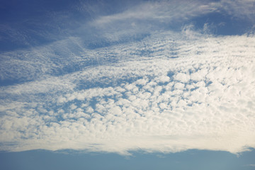Beautiful puffy clouds on the blue sky like painted with sunset light. 
