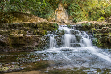 Fototapeta premium Beautiful stream waterfalls cascade over pretty green moss covered stones