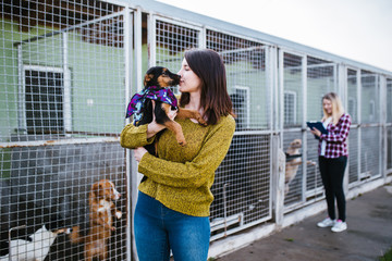 Young woman choosing which dog to adopt from a shelter.