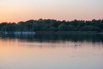 The lake is in a fog with reeds and ducks. Beautiful scenery in the early morning.